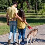 ¿Cuántas veces debo pasear a mi perro?