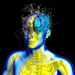 La bioneureomeción, una manera de mirar nuestros padecimientos