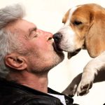 ¿Se puede educar a un perro adulto?