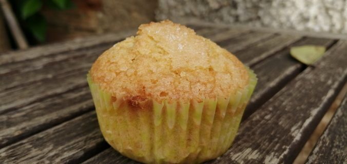 receta-magdalenas