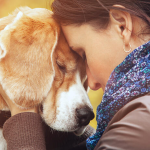 Descifra 15 comportamientos de tu perro