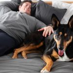 ¿Tu perro está en la cama?