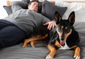 ¿Tu perro está en la cama?
